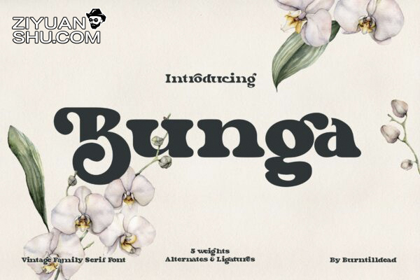 复古杂志标志标识设计衬线英文字体 Bunga  第1052期