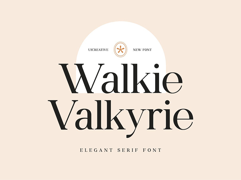 高品质Walkie Valkyrie Serif 字体系列 第122708期