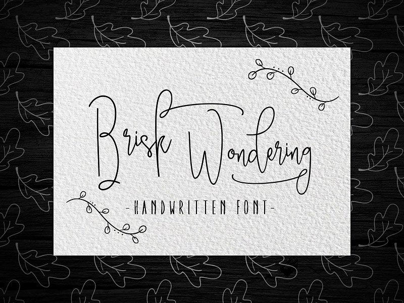 手写签名字体 Brisk wondering Handwritten Font 第122786期