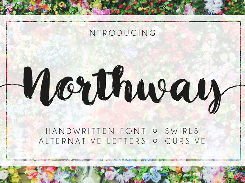 手写粗犷脚本字体 Northway Script Font 第122796期