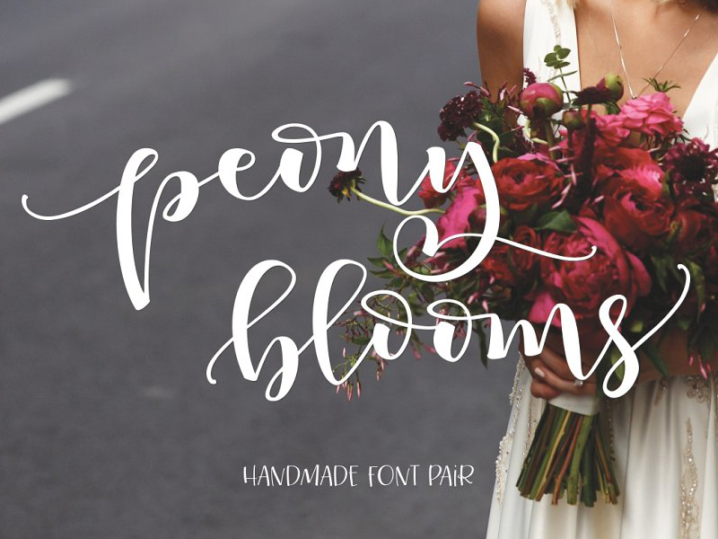 手写个性字体 Peony Blooms Font 第122840期