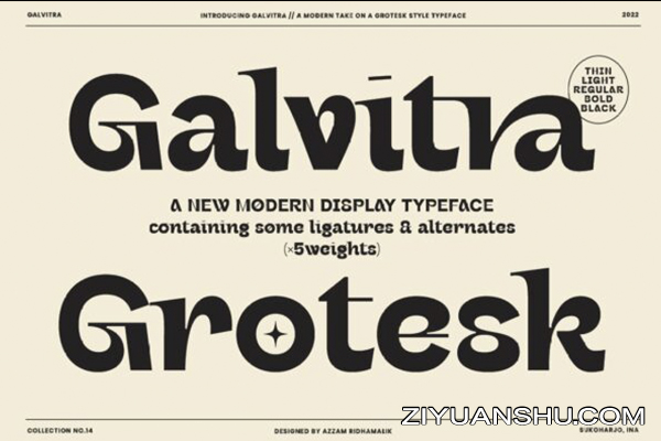 复古简约优雅海报衬线英文字体家族Galvitra Font Family  第2516期