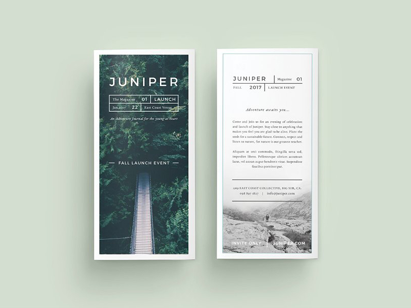 时尚简约画册模板 J U N I P E R Trifold Brochure 第62719期