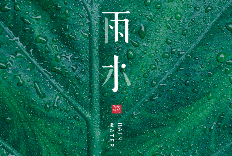 雨水海报 第127225期