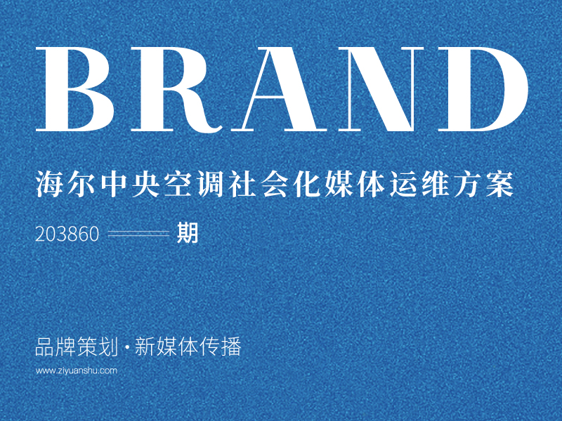 海尔中央空调社会化媒体运维比稿方案海尔中央空调社会化媒体运维比稿方案 203860期