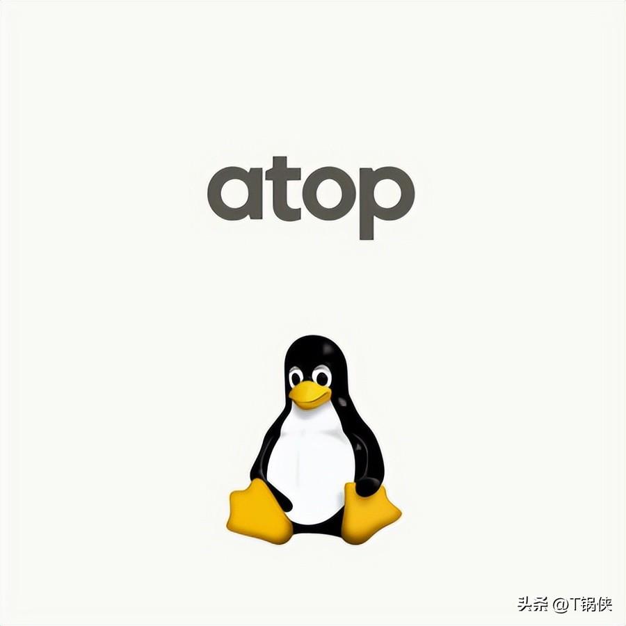 linuxcpu占用率怎么看_熊猫看直播cpu占用大_看网页直播cpu占用高