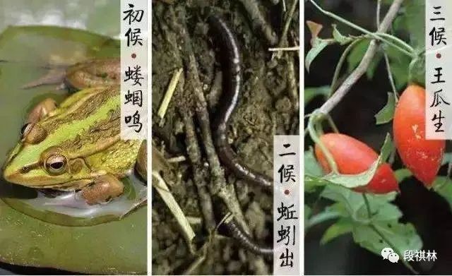 介绍立春节气_立春节气的特点和风俗_立春节气的含义