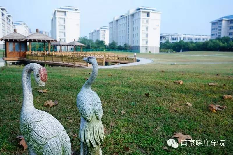 山水一程_程大利山水条幅_山水幼儿园 胡凌云 程洁 精彩十分钟 木偶