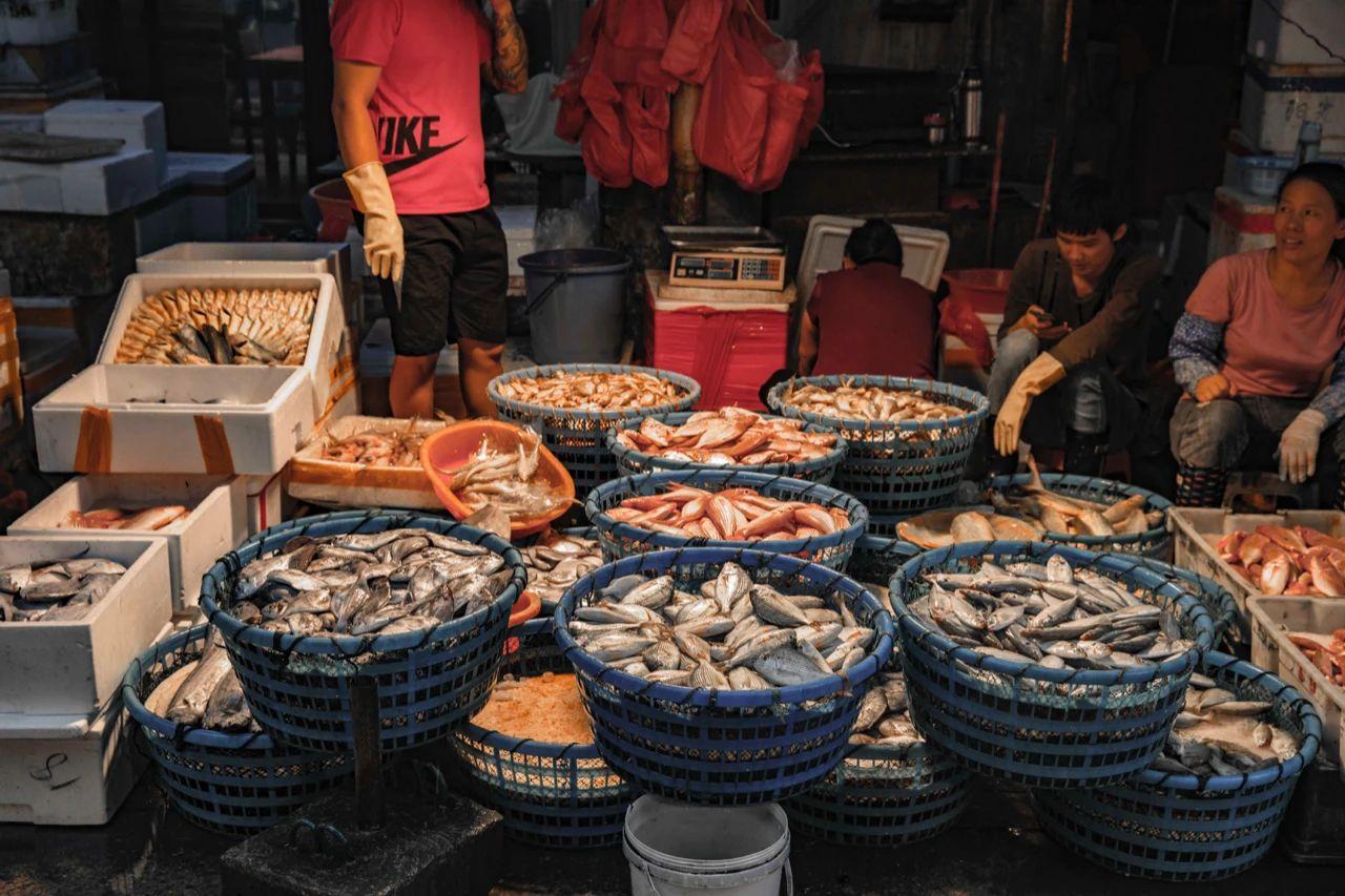 密宗肉莲是真的吗_密宗法器肉莲图片_肉莲