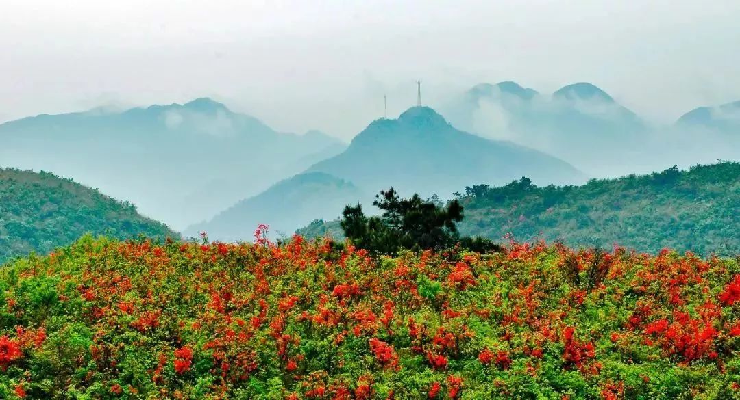 峭壁是什么意思_风暴峭壁加姆雷区_峭壁的意思