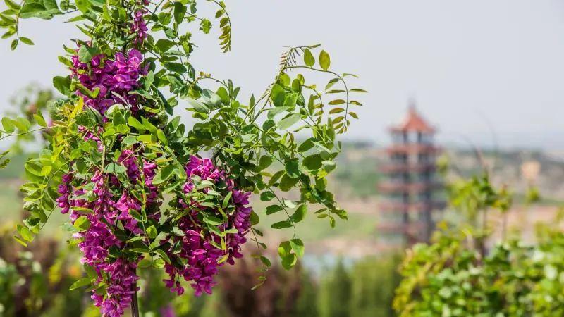 热门景_景逸xv和景逸x5哪个好_香港铜锣湾维景酒店和湾仔维景酒店哪个方便