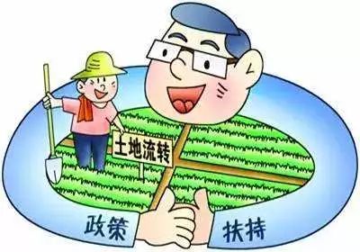 制草乌制川乌_制附子和制甘草有什么关系_建制