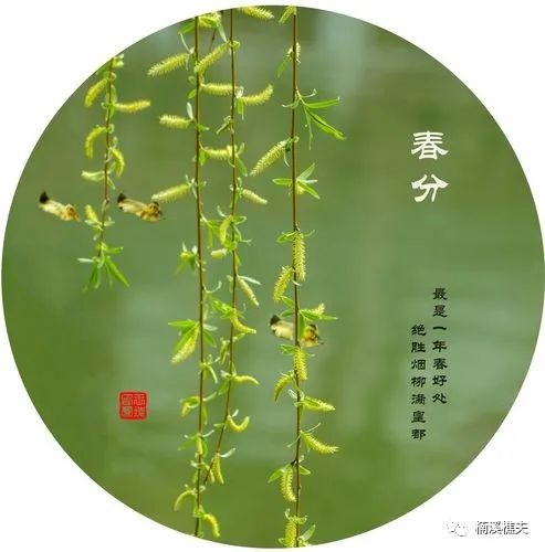 立春节气的特点和风俗_立春节气_介绍立春节气