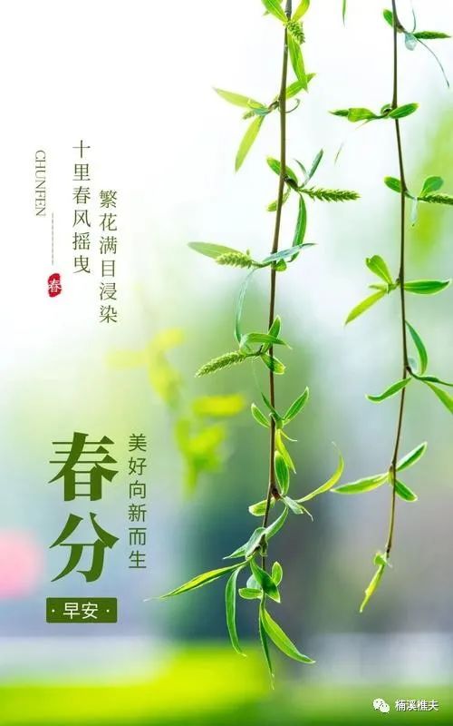 立春节气的特点和风俗_立春节气_介绍立春节气