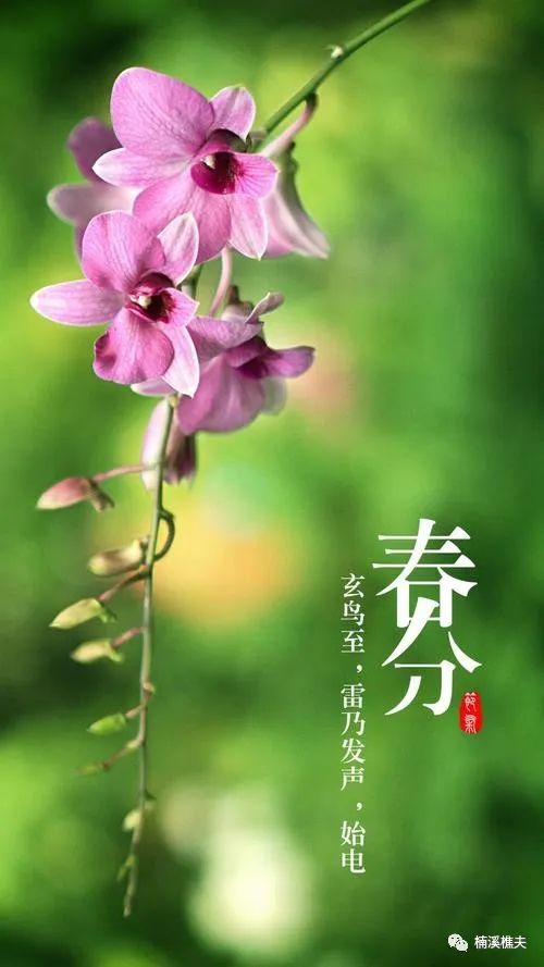 立春节气的特点和风俗_立春节气_介绍立春节气