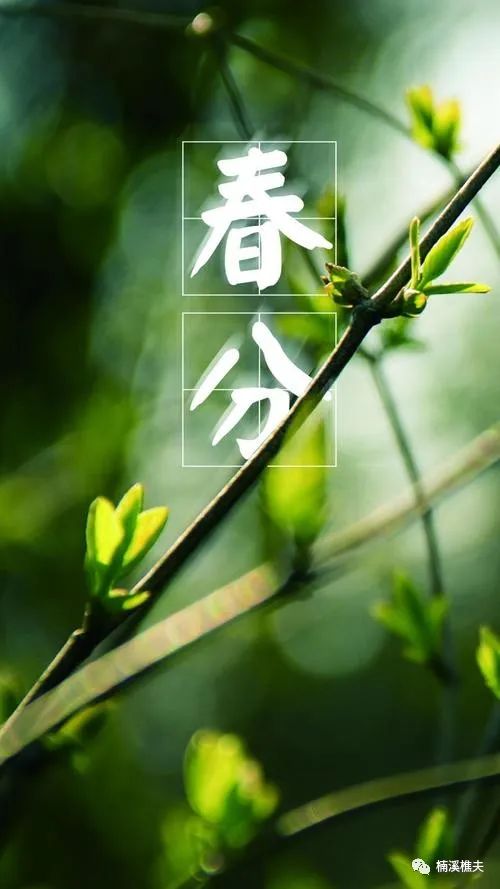 立春节气_介绍立春节气_立春节气的特点和风俗