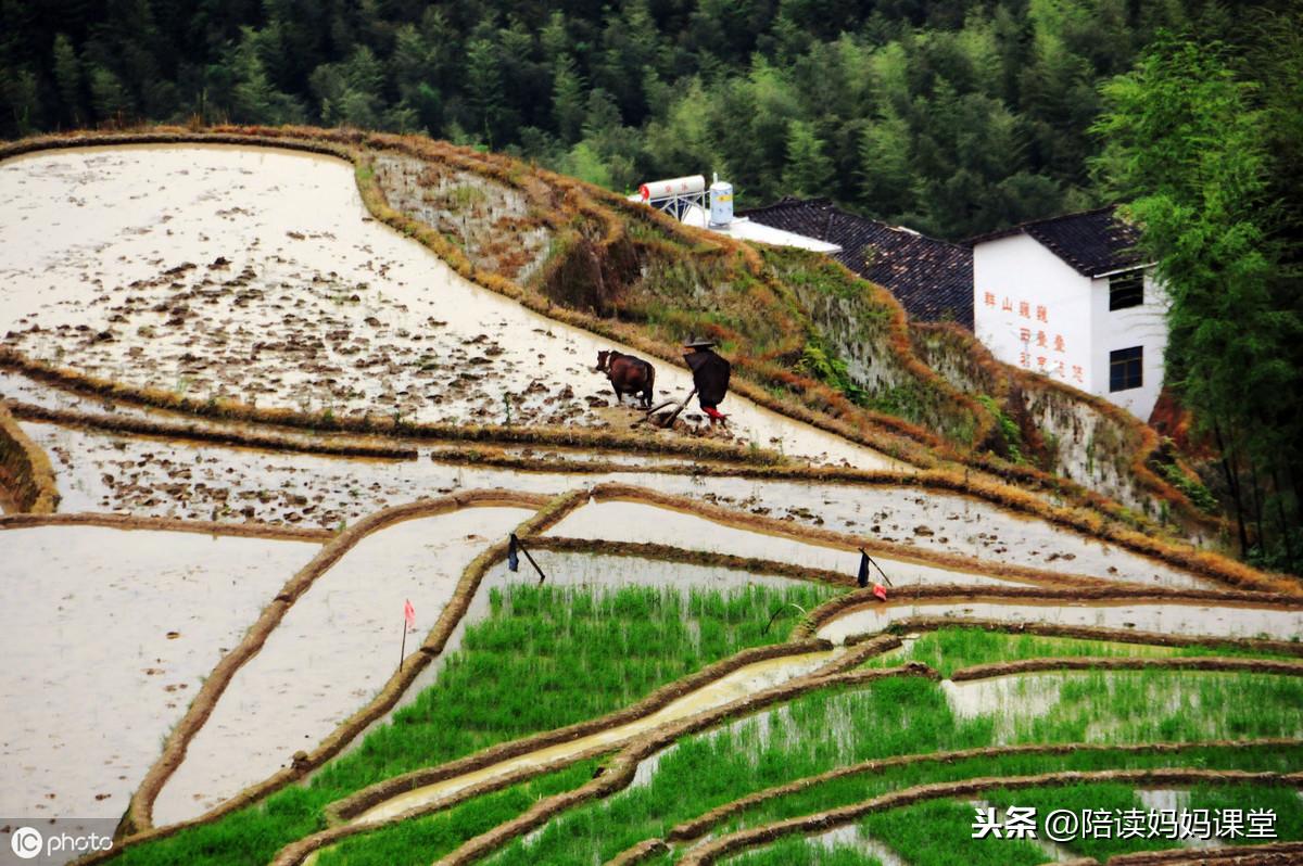 多项式除法余数定理_剩余定理 余数规律_余数定理