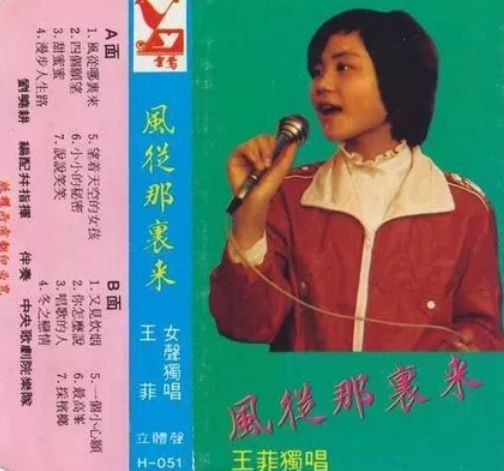 梁龙王菲情史大揭秘_梁龙和王菲什么关系_王菲 梁龙 天涯