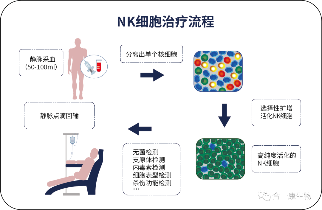 sf9细胞是什么细胞_pbmc分离取粒细胞_pbmc细胞