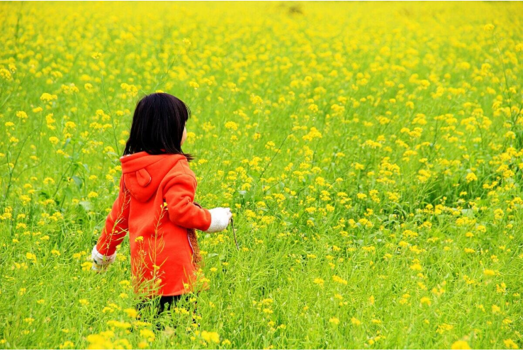 清明节的来历的故事视频_2014年清明节假日安排_清明节来源