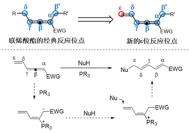 酚羟基被氧化_酚羟基_尿单羟基酚衍生物