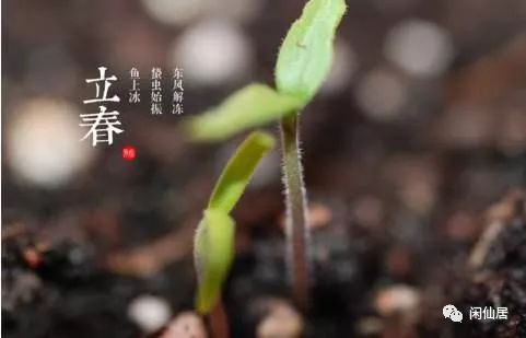 立春节气吃什么_立春节气 心情日记_立春节气的特点和风俗