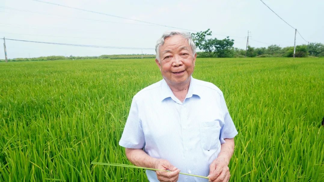 大话利州建言现策_武则天 建言十二事_建言