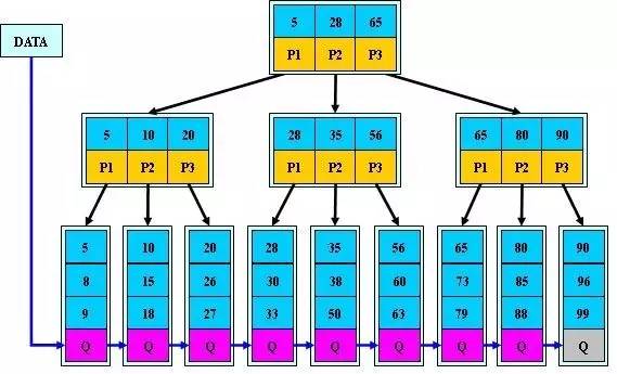 b 树 b-树 区别_b+树_b树 b 树 b-树