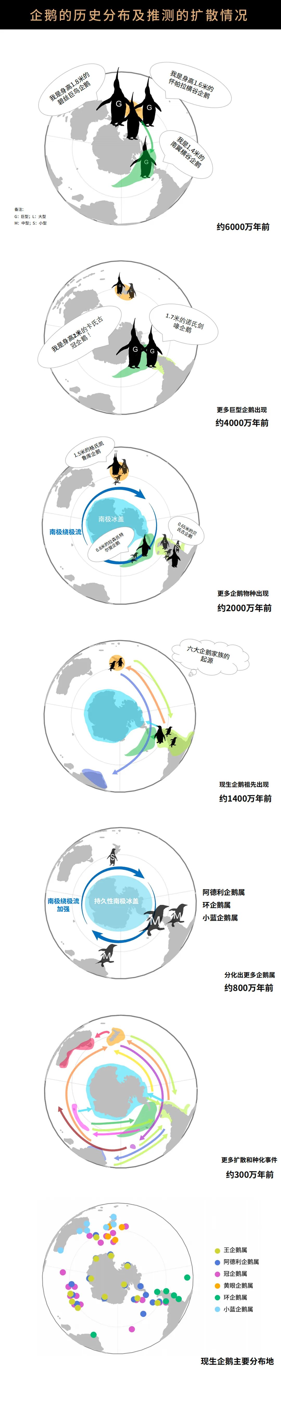 南极北极普通人可以去旅游吗_企鹅在南极还是北极?_企鹅住在南极还是北极