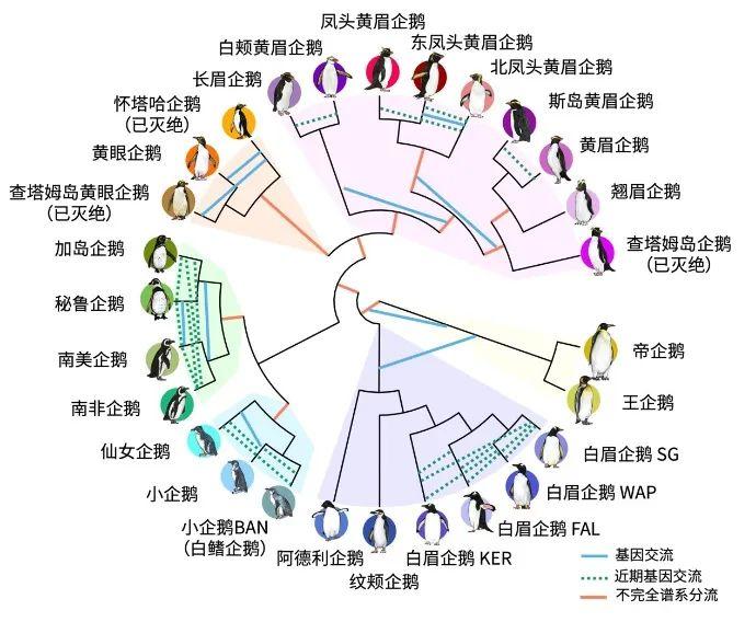 南极北极普通人可以去旅游吗_企鹅在南极还是北极?_企鹅住在南极还是北极