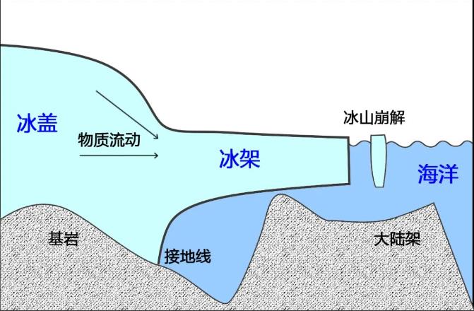 南极企鹅北极熊的笑话_企鹅住在南极还是北极_企鹅在南极还是北极?