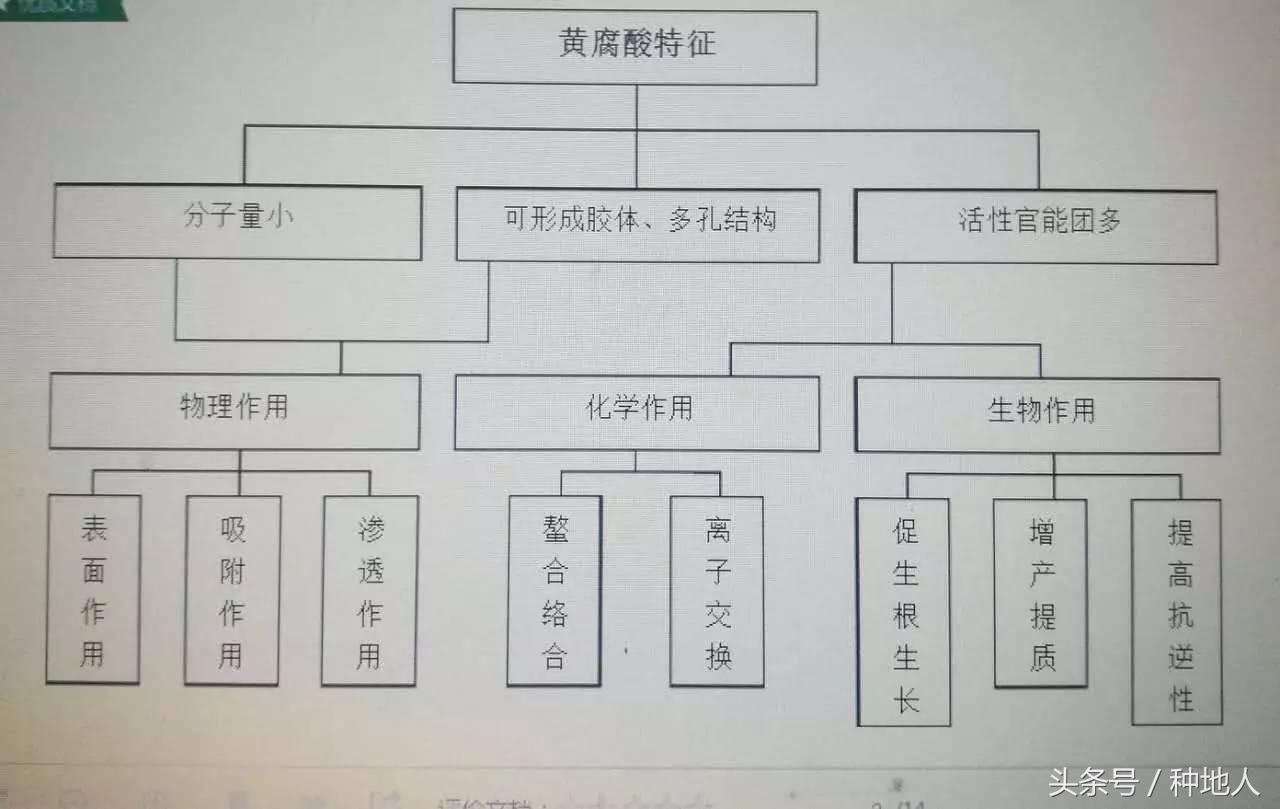 邻二酚羟基_酚羟基与三氯化铁反应_酚羟基